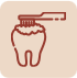 Prophylaxis - Teeth Cleaning